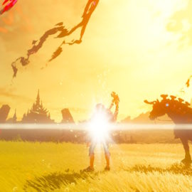 Zelda botw (Switch)