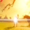 Zelda botw (Switch)